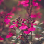 19156期开奖结果震撼揭晓:幸运号码花落谁家? 2xc6oh