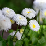 3d开奖350开奖前后走势分析预测 7vbt8rxxj8