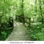 3D开奖470前后关系深度解析与趋势预测 cr3y6kt