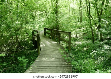 3D开奖470前后关系深度解析与趋势预测