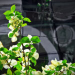 3D开奖一百期完整结果汇总与走势分析 goil3