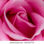 19148期双色球开奖结果公布,最新中奖号码已出炉 ldbgb4h