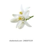 19080期足彩开奖结果揭晓:大奖花落谁家引关注 nypy2m