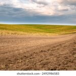 19103期双色球开奖结果公布,头奖花落谁家引关注 smmxog