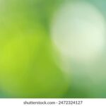 19126期开奖结果揭晓:幸运号码震撼公布 y1hv0g87e