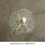 19080期大乐透开奖结果公布,大奖花落谁家引关注 zgzgajo82